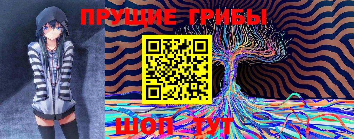 Галлюциногенные грибы Psilocybe  Вход с VPN  Мурино 